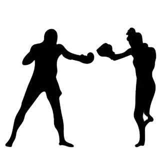 mma icon